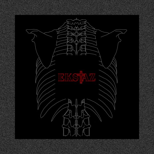 White line drawing of a ribcage with the red EKSTAZ mark at its centre